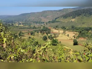 Road to contentious Sijimali bauxite block gets final forest clearance