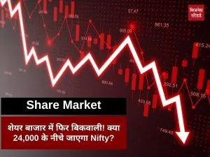 Stock Market