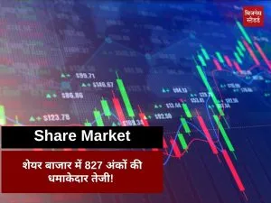 Stock Market