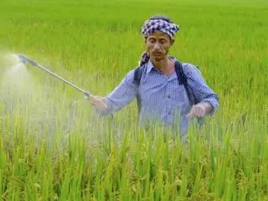 Farmer