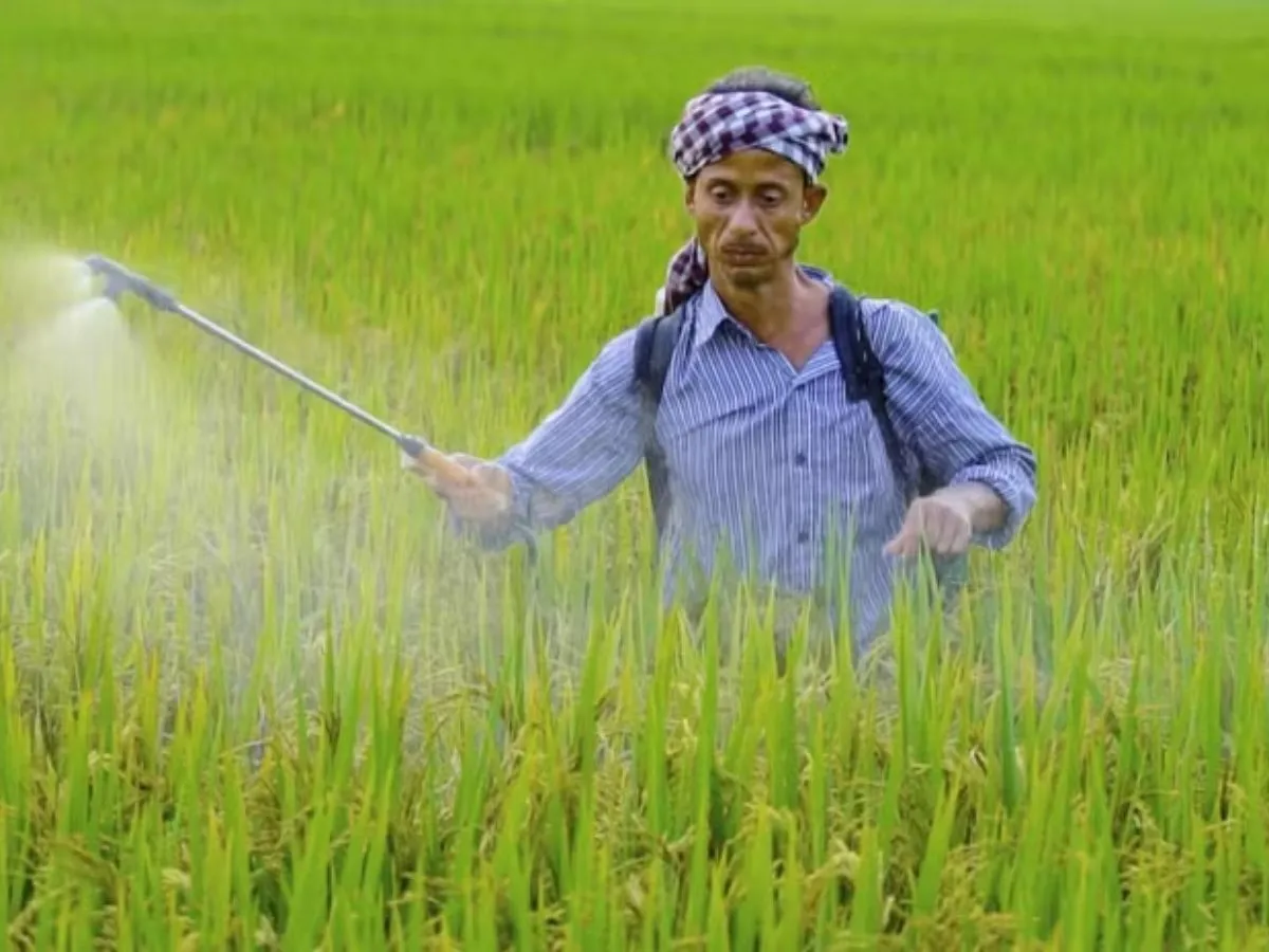 Farmer