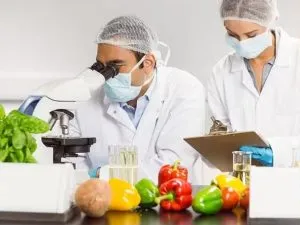 Food Safety
