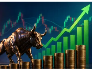 Large Cap Stocks