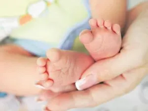 Fertility Rate