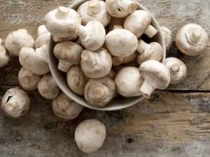 mushroom