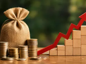 India Disinvestment