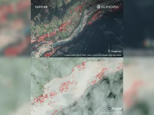 Nepal Crises