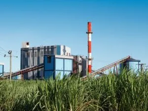 Sugar Mill