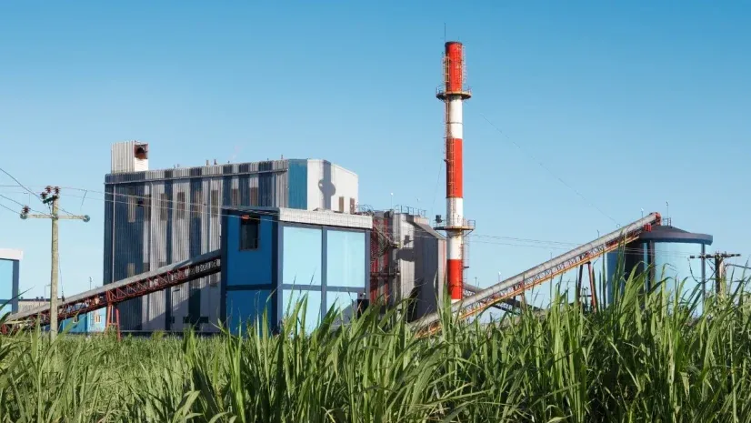 Sugar Mill