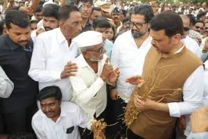 महाराष्ट्र में 1972 जैसे सूखे की आशंका, सोयाबीन और कपास की फसलें बर्बाद, किसान परेशान